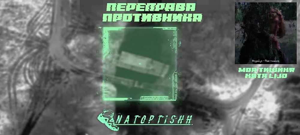   :      ,    &quot;&quot;