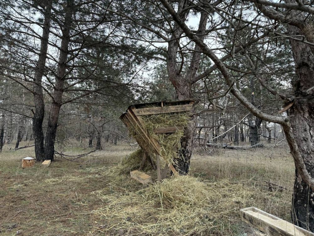 ГАУ ХО "Голопристанское лесоохотничье хозяйство" проводит подкормку диких лесных животных ГАУ ХО "Голопристанское лесоохотничье хозяйство" проводит подкормку диких лесных животных