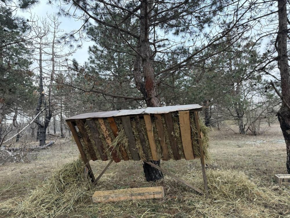 Сотрудники Голопристанского лесоохотничьего хозяйства проводят подкормку диких лесных животных Сотрудники Голопристанского лесоохотничьего хозяйства проводят подкормку диких лесных животных