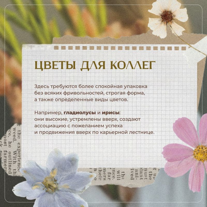 Выбор цветов для прекрасных женщин на 8 Марта — это несложно, если знать несколько секретов Выбор цветов для прекрасных женщин на 8 Марта — это несложно, если знать несколько секретов