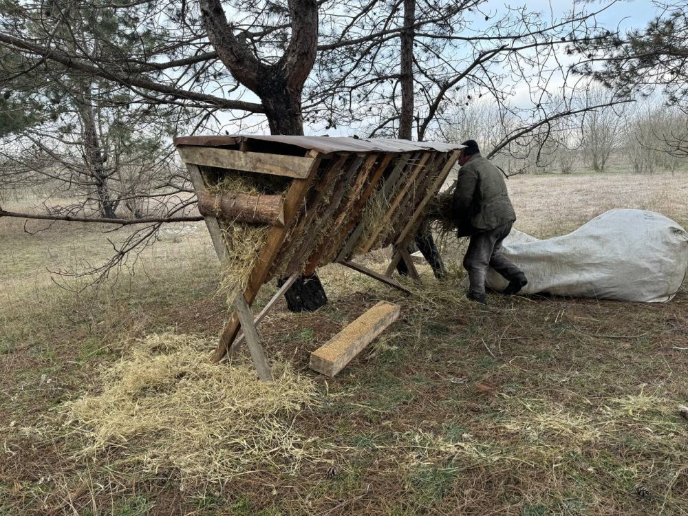 ГАУ ХО "Голопристанское лесоохотничье хозяйство" проводит подкормку диких лесных животных ГАУ ХО "Голопристанское лесоохотничье хозяйство" проводит подкормку диких лесных животных