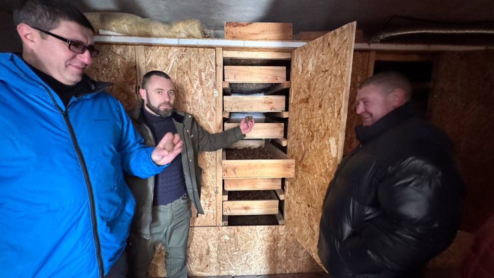 Голопристанский и Новотроицкий лесхозы начали переработку шишки для получения семян сосны Голопристанский и Новотроицкий лесхозы начали переработку шишки для получения семян сосны