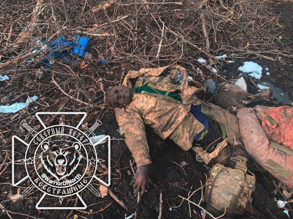 Кадры 18+: Прогулка бойцов ГВ "Север" по посадке, усеянной трупами украинских фашистов Кадры 18+: Прогулка бойцов ГВ "Север" по посадке, усеянной трупами украинских фашистов