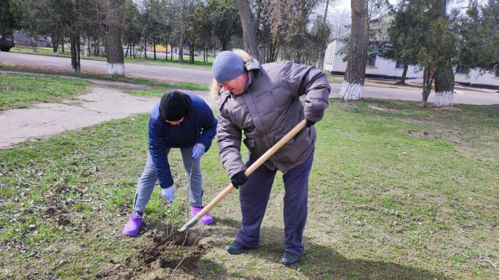 В Голопристанском округе прошла высадка деревьев в честь Дня воссоединения Крыма с Россией В Голопристанском округе прошла высадка деревьев в честь Дня воссоединения Крыма с Россией
