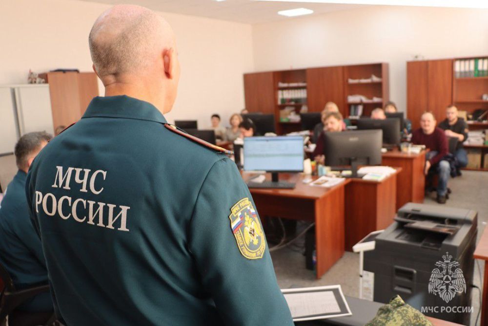 Состоялась рабочая встреча представителей МЧС России и Росстата