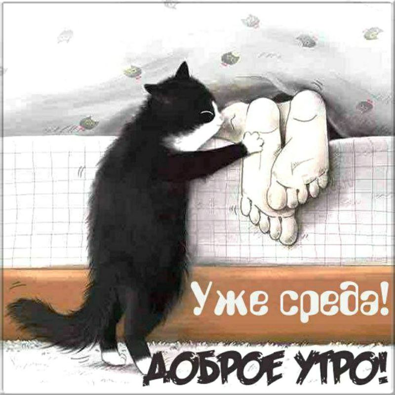 Праздники 26 марта. День одиночества Фиолетовый день (День больных эпилепсией) День собственного праздника По народному календарю: Никифоров день Праздники 26 марта. День одиночества Фиолетовый день (День больных эпилепсией) День собственного праздника По народному календарю: Никифоров день