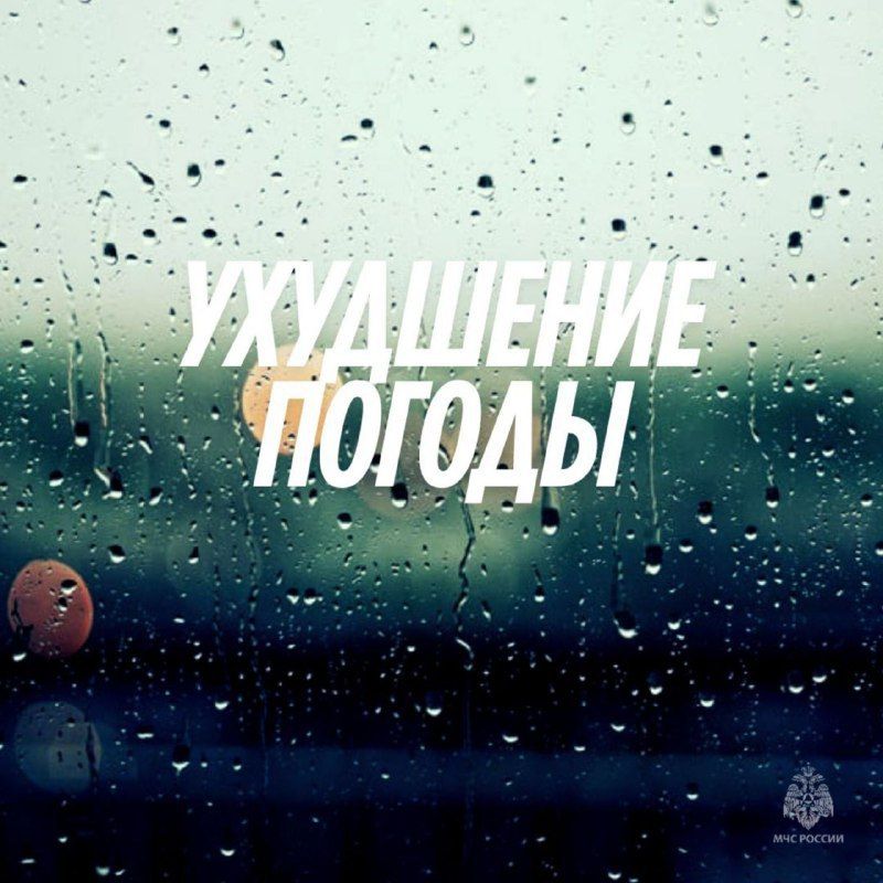   - ѻ     29     ,     ,     15-17 /c