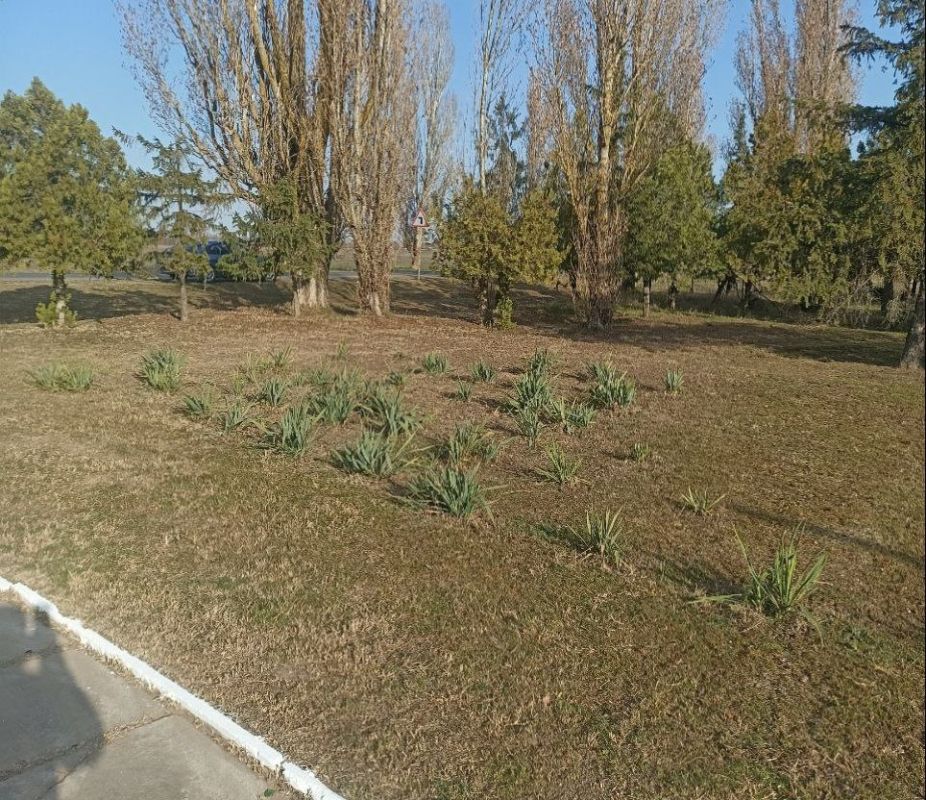 В Голой Пристани благоустраивают мемориальные объекты к 80-летию Победы в Великой Отечественной войне В Голой Пристани благоустраивают мемориальные объекты к 80-летию Победы в Великой Отечественной войне