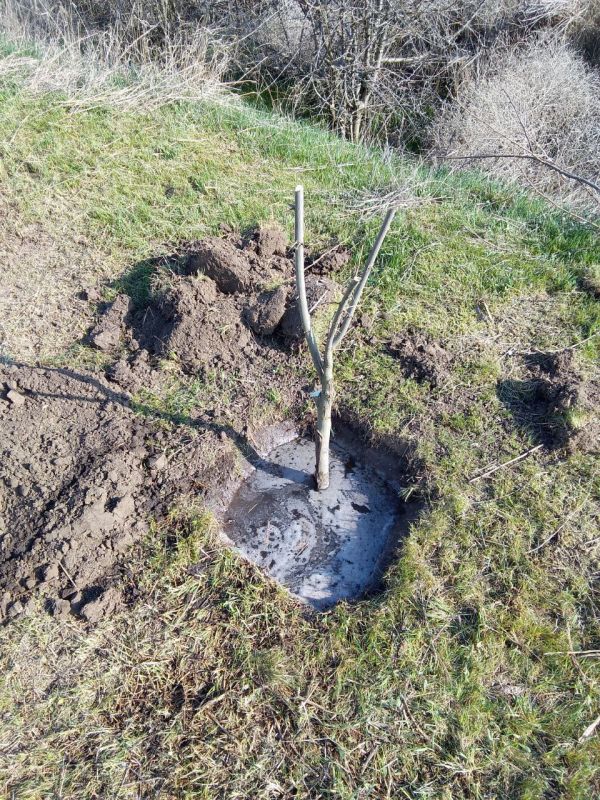 Благоустройство территорий и замена водомеров в селах Красный Подол и Каменка Каховского округа Благоустройство территорий и замена водомеров в селах Красный Подол и Каменка Каховского округа