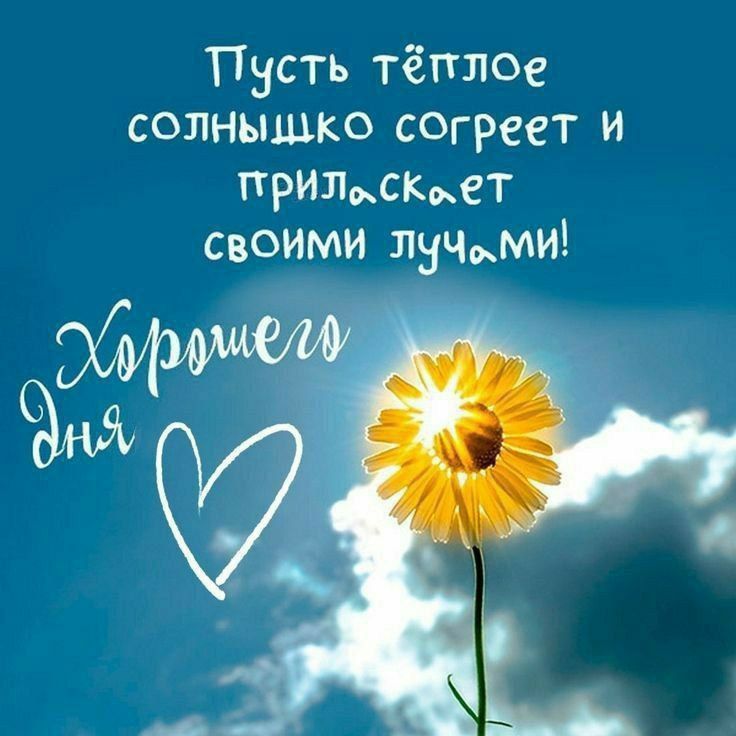 Праздники 4 апреля. День веб-мастера Международный день настройщиков фортепиано Всемирный день крысы День "Обними журналиста" День джипа 4х4 Всемирный день бродячих животных Праздник иконы Божией матери "Изборская"... Праздники 4 апреля. День веб-мастера Международный день настройщиков фортепиано Всемирный день крысы День "Обними журналиста" День джипа 4х4 Всемирный день бродячих животных Праздник иконы Божией матери "Изборская"...