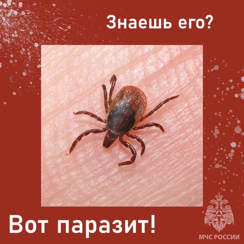  !.         :         