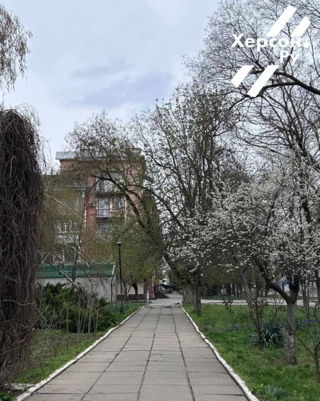 Доброе утро, Херсон!. Подпишись на Херсон.ру Доброе утро, Херсон!. Подпишись на Херсон.ру