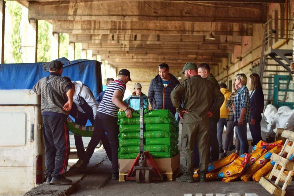 Военнослужащим на Херсонском направлении отправили защитные амуниции для 11 служебных собак в рамках Всероссийской кампании "ЗооДруг" Военнослужащим на Херсонском направлении отправили защитные амуниции для 11 служебных собак в рамках Всероссийской кампании "ЗооДруг"
