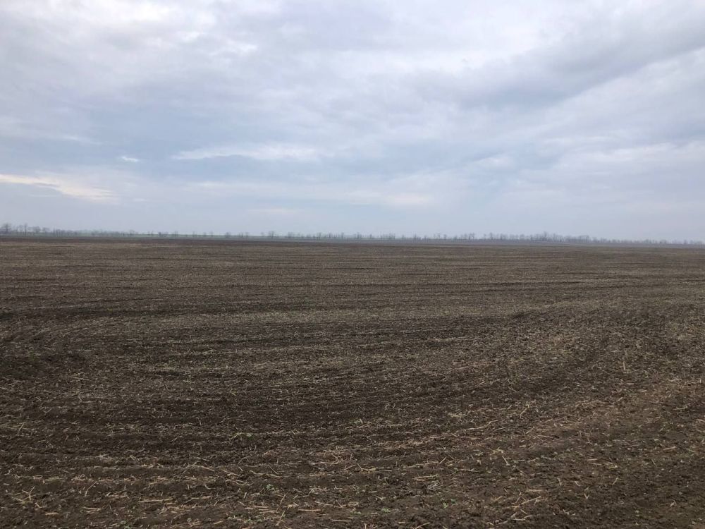Пусть ваш день будет тёплым, несмотря на погоду! Пусть ваш день будет тёплым, несмотря на погоду!