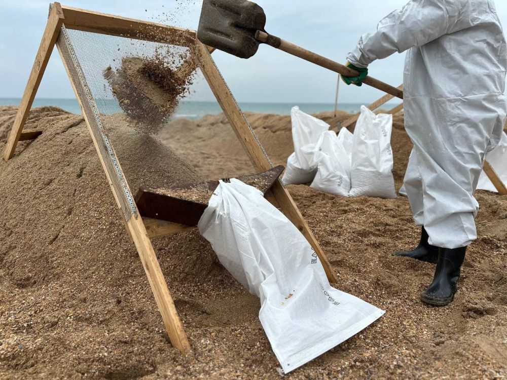 Почти 730 тонн загрязненного мазутом песка и грунта вывезли с Бугазской косы за время работы волонтерского лагеря Единой России Почти 730 тонн загрязненного мазутом песка и грунта вывезли с Бугазской косы за время работы волонтерского лагеря Единой России