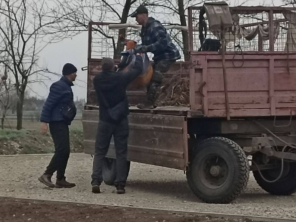 Благоустройство Ивановского округа: забота о нашем общем пространстве! Благоустройство Ивановского округа: забота о нашем общем пространстве!