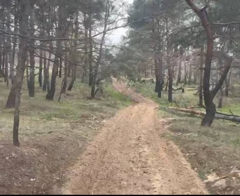 Голопристанский лесхоз проводит работы по устройству минерализованных полос в лесных массивах в рамках пожароопасного периода Голопристанский лесхоз проводит работы по устройству минерализованных полос в лесных массивах в рамках пожароопасного периода