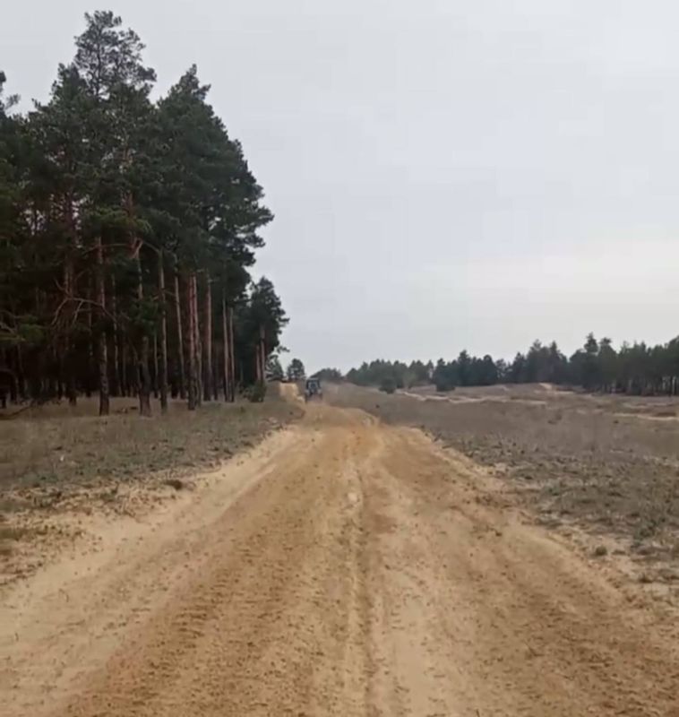 "Голопристанский лесхоз" проводит работы по устройству и уходу за минерализованными полосами в лесных массивах "Голопристанский лесхоз" проводит работы по устройству и уходу за минерализованными полосами в лесных массивах