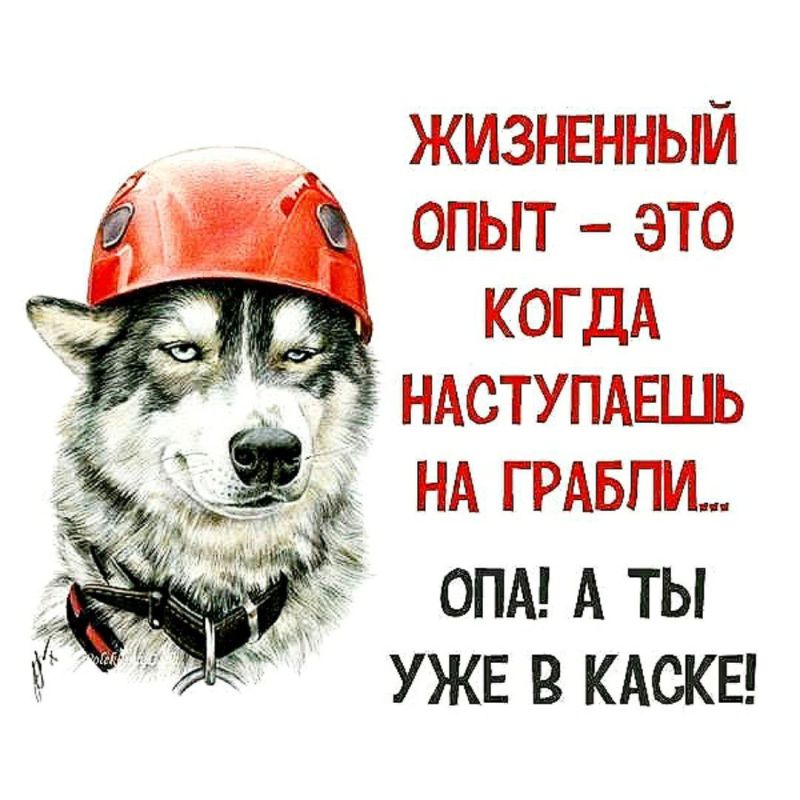 Просто подборка позитивных картинок для поднятия настроения! Просто подборка позитивных картинок для поднятия настроения!