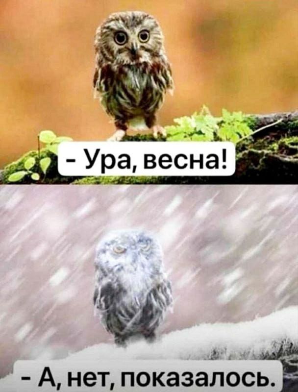 Просто подборка позитивных картинок для поднятия настроения! Просто подборка позитивных картинок для поднятия настроения!