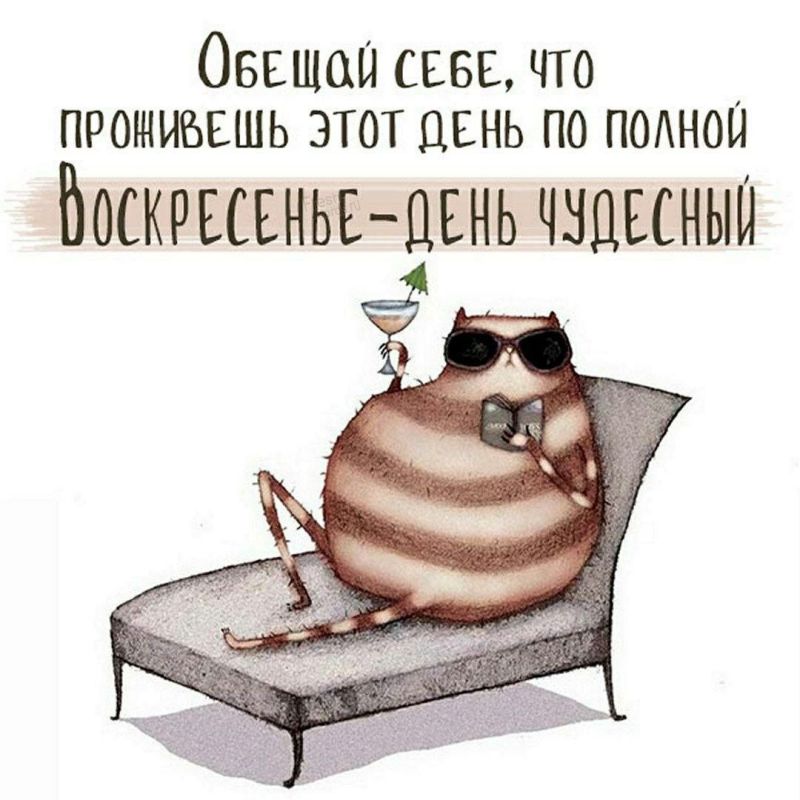Просто подборка позитивных картинок для поднятия настроения! Просто подборка позитивных картинок для поднятия настроения!