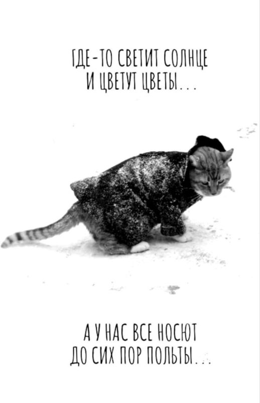 Просто подборка позитивных картинок для поднятия настроения! Просто подборка позитивных картинок для поднятия настроения!