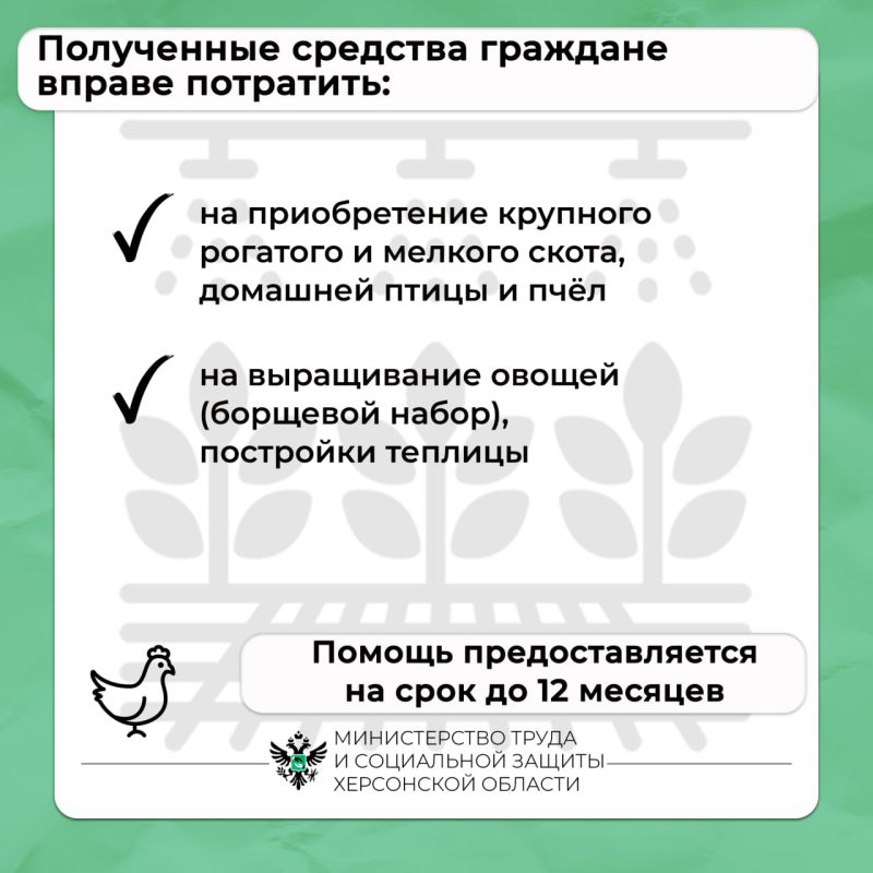 Социальный контракт для развития личного подсобного хозяйства Социальный контракт для развития личного подсобного хозяйства