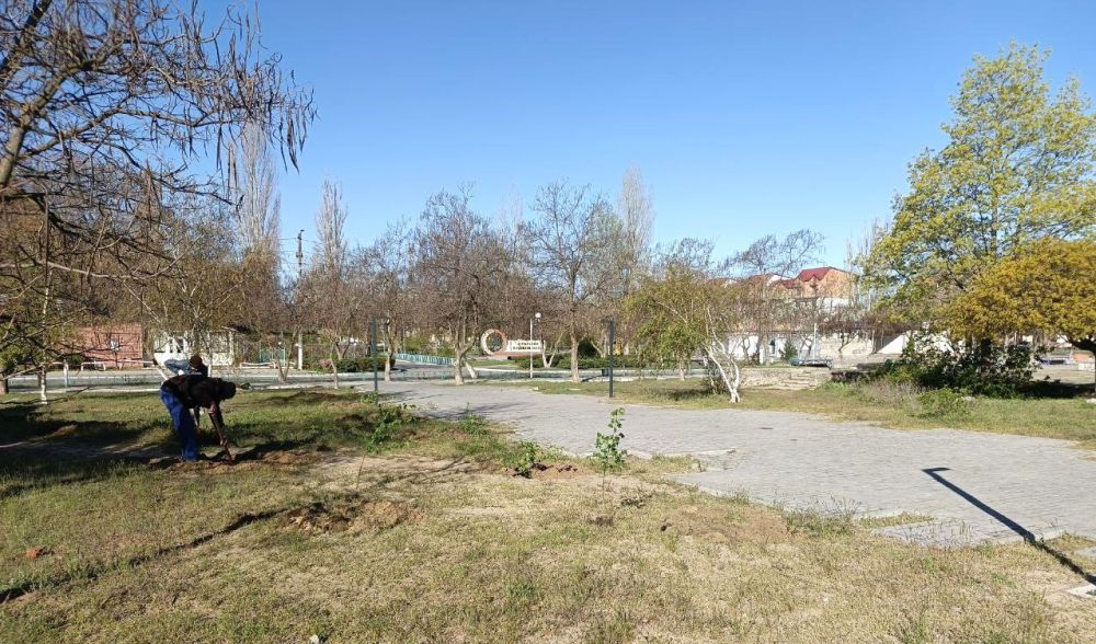 В Новой Каховке высаживают молодые деревья В Новой Каховке высаживают молодые деревья