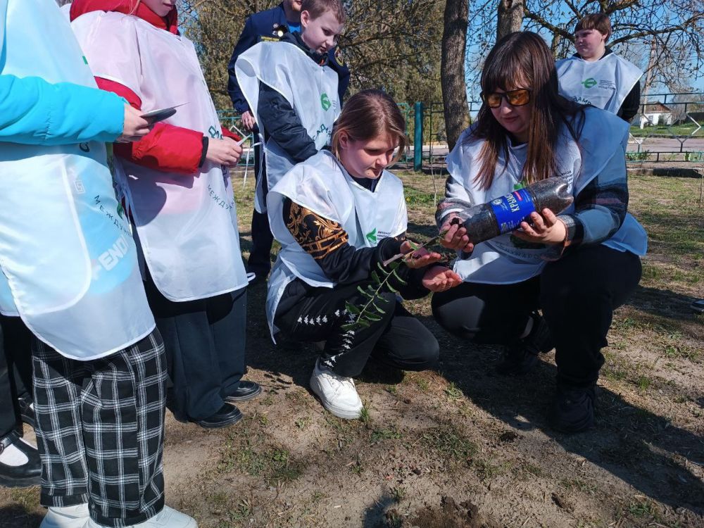 "Сад памяти" в Приморской школе "Сад памяти" в Приморской школе