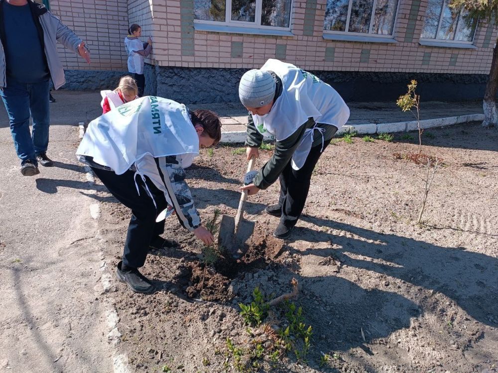 "Сад памяти" в Приморской школе "Сад памяти" в Приморской школе