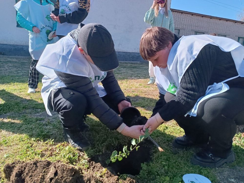"Сад памяти" в Приморской школе "Сад памяти" в Приморской школе