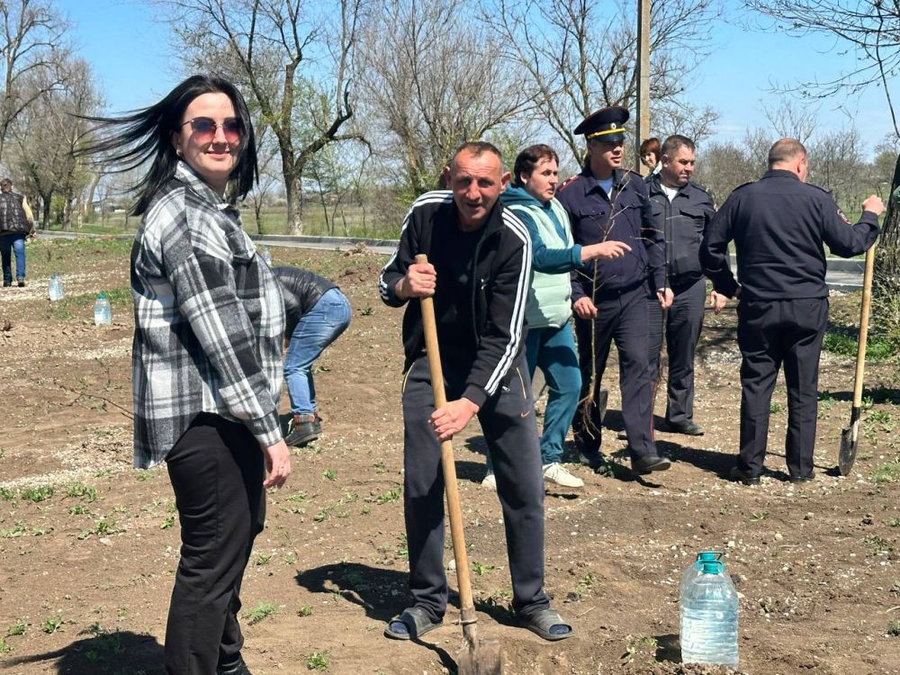 Сад Памяти в Ивановском муниципальном округе Сад Памяти в Ивановском муниципальном округе