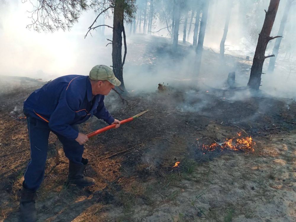 В Голопристанском участковом лесничестве зафиксирован лесной пожар, который охватил площадь в 0,1 гектара В Голопристанском участковом лесничестве зафиксирован лесной пожар, который охватил площадь в 0,1 гектара