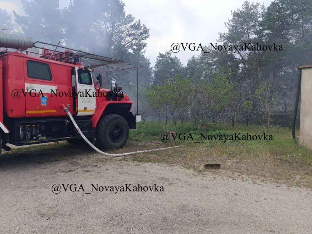 В Новой Каховке ликвидируют пожар на лесополосе вдоль дороги В Новой Каховке ликвидируют пожар на лесополосе вдоль дороги