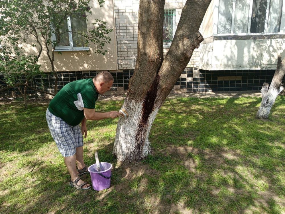 В городском округе город Новая Каховка прошел всеобщий субботник В городском округе город Новая Каховка прошел всеобщий субботник