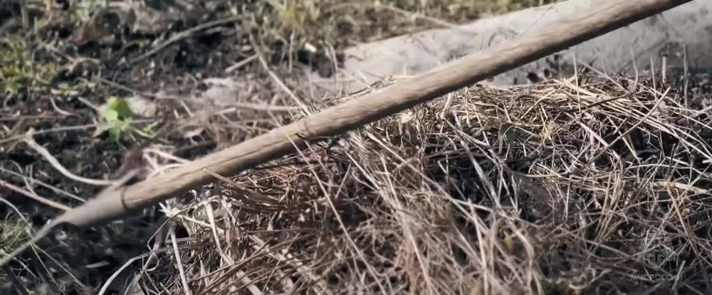   : 