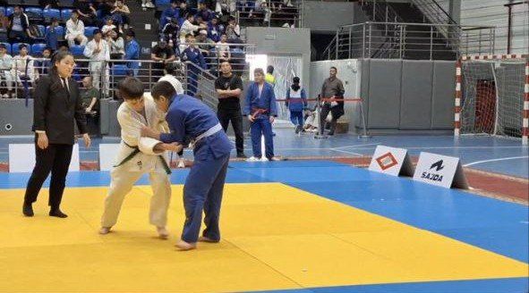 Генические спортсмены приняли участие в Международном турнире по дзюдо в Кыргызстане Генические спортсмены приняли участие в Международном турнире по дзюдо в Кыргызстане