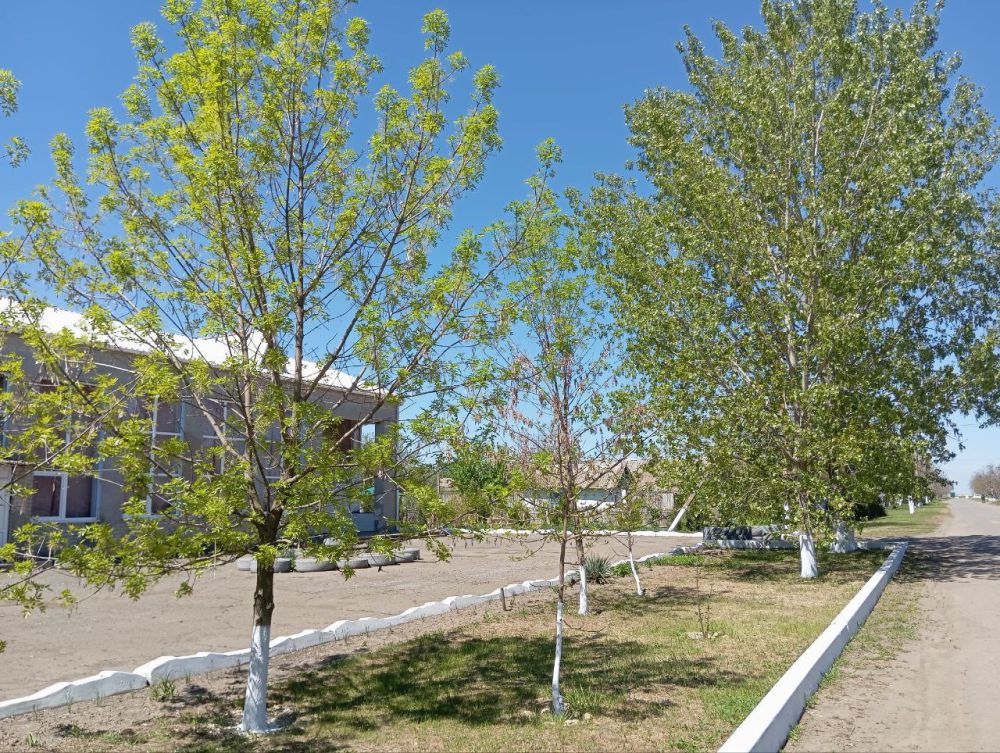 В селах Раздольное и Черноморовка облагородили территории вокруг памятников героям Великой Отечественной войны В селах Раздольное и Черноморовка облагородили территории вокруг памятников героям Великой Отечественной войны
