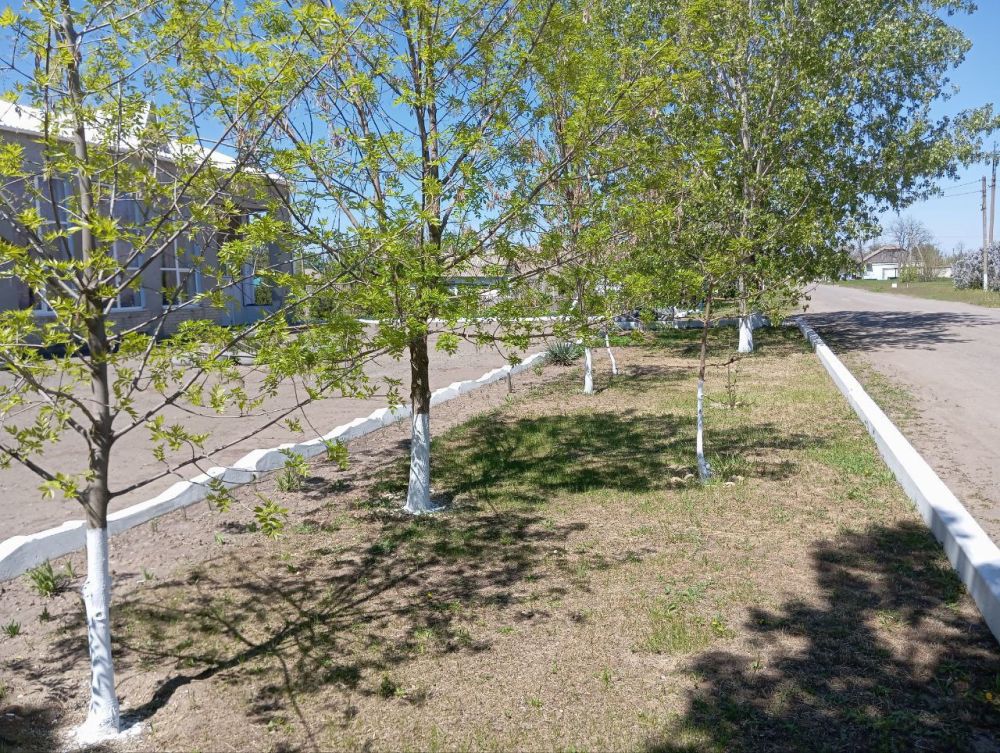 В селах Раздольное и Черноморовка облагородили территории вокруг памятников героям Великой Отечественной войны В селах Раздольное и Черноморовка облагородили территории вокруг памятников героям Великой Отечественной войны