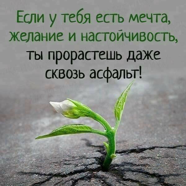 Праздники 5 мая. День водолаза День шифровальщика Международный день акушерки Международный день борьбы за права инвалидов Всемирный день общения День кубанской журналистики День советской печати Международный день... Праздники 5 мая. День водолаза День шифровальщика Международный день акушерки Международный день борьбы за права инвалидов Всемирный день общения День кубанской журналистики День советской печати Международный день...