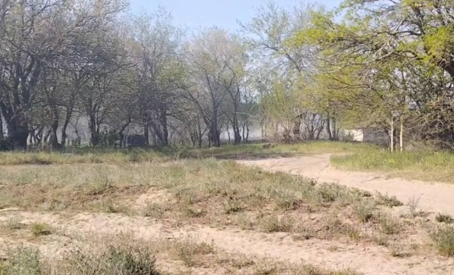 Четыре лесных пожара было зафиксировано на территории Голопристанского лесхоза в период майских праздников Четыре лесных пожара было зафиксировано на территории Голопристанского лесхоза в период майских праздников