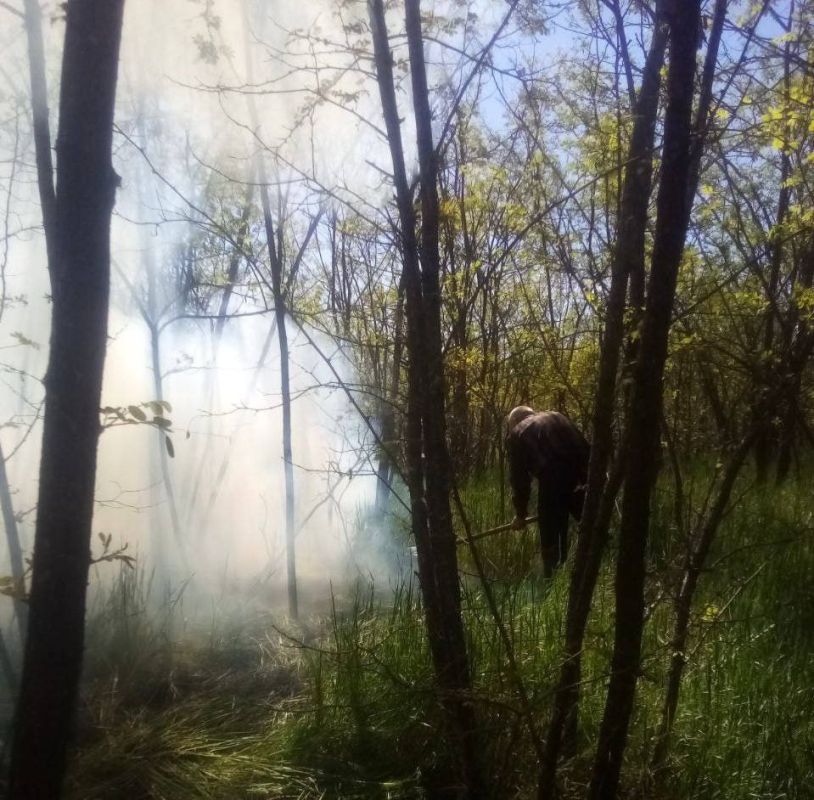 Четыре лесных пожара было зафиксировано на территории Голопристанского лесхоза в период майских праздников Четыре лесных пожара было зафиксировано на территории Голопристанского лесхоза в период майских праздников