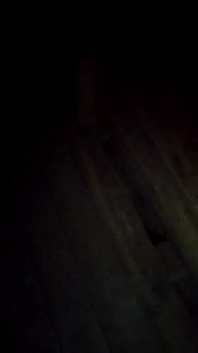  :  .      ,   