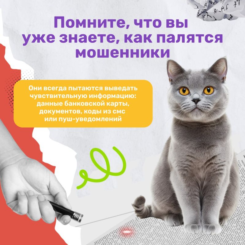Мы часто рассказываем, как защититься от мошенников физически — не кликать по подозрительным ссылкам, держать в секрете проверочные коды Мы часто рассказываем, как защититься от мошенников физически — не кликать по подозрительным ссылкам, держать в секрете проверочные коды