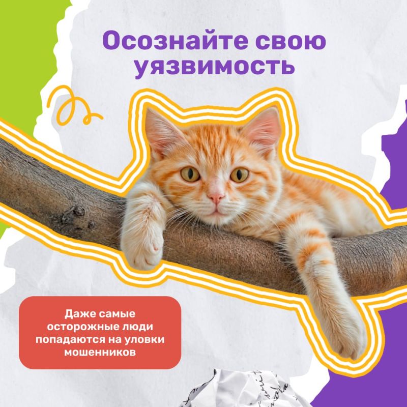 Мы часто рассказываем, как защититься от мошенников физически — не кликать по подозрительным ссылкам, держать в секрете проверочные коды Мы часто рассказываем, как защититься от мошенников физически — не кликать по подозрительным ссылкам, держать в секрете проверочные коды