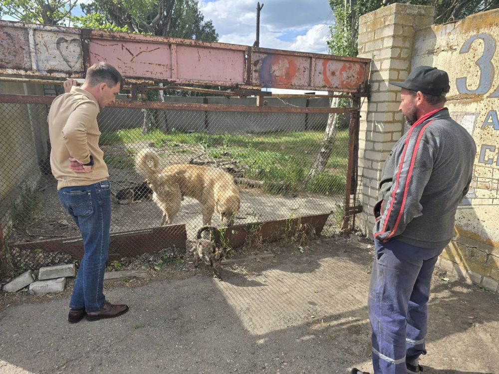 Рамиль Замалетдинов: В селе Новоалексеевка, образовался дома для животных Рамиль Замалетдинов: В селе Новоалексеевка, образовался дома для животных