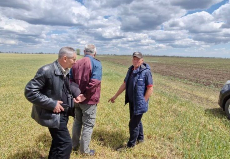В Чаплинском муниципальном округе проводятся выездные обследования посевов В Чаплинском муниципальном округе проводятся выездные обследования посевов
