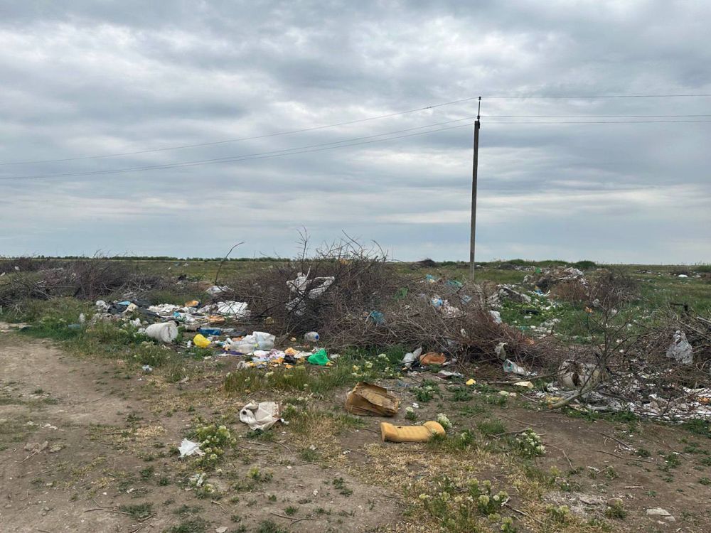 Депутат Павел Белинский провёл приём граждан в Скадовском муниципальном округе Депутат Павел Белинский провёл приём граждан в Скадовском муниципальном округе