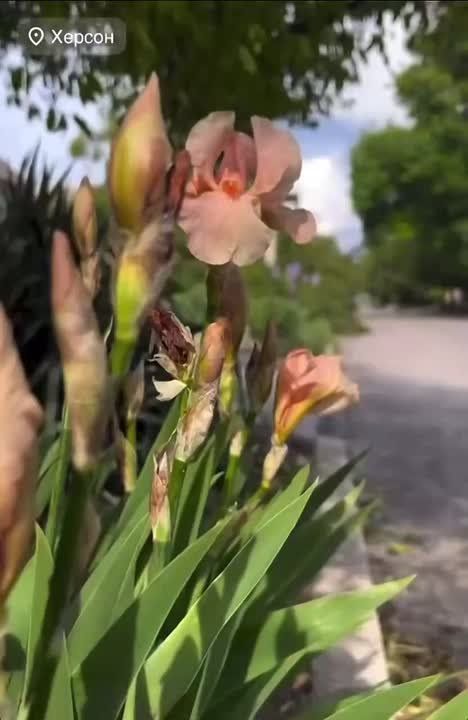 , !.   .
