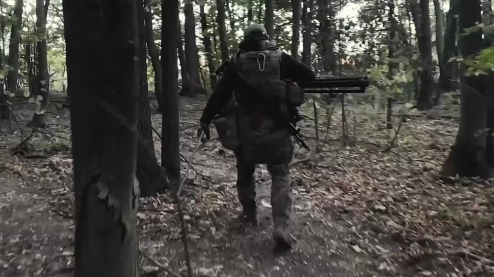   -    ,  ,    !